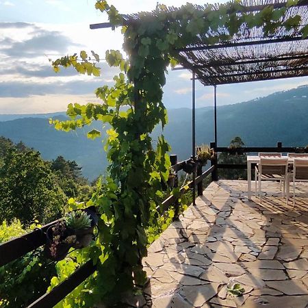 Casa Da Vina - Ribeira Sacra Villa Nogueira De Ramuin Dış mekan fotoğraf