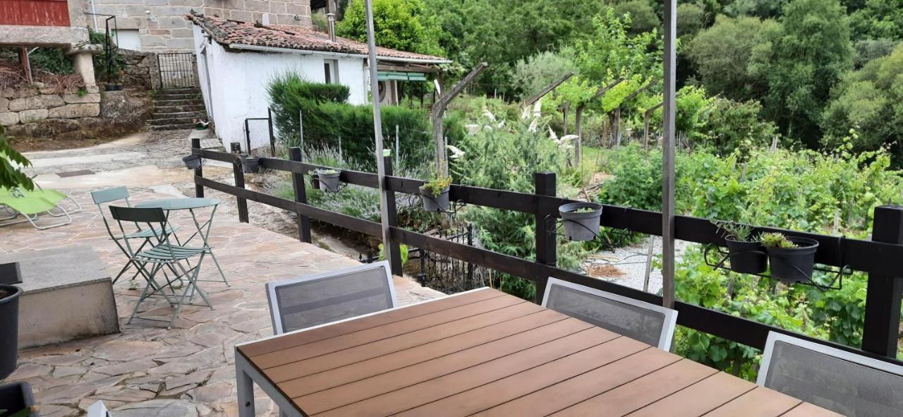 Casa Da Vina - Ribeira Sacra Villa Nogueira De Ramuin Dış mekan fotoğraf