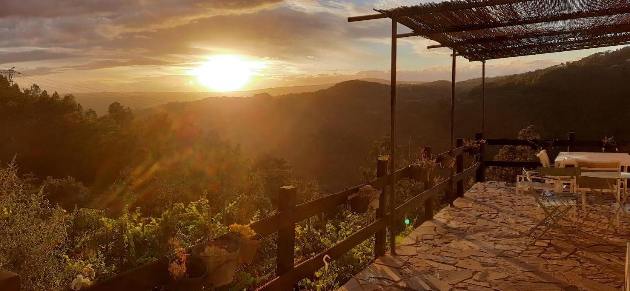 Casa Da Vina - Ribeira Sacra Villa Nogueira De Ramuin Dış mekan fotoğraf