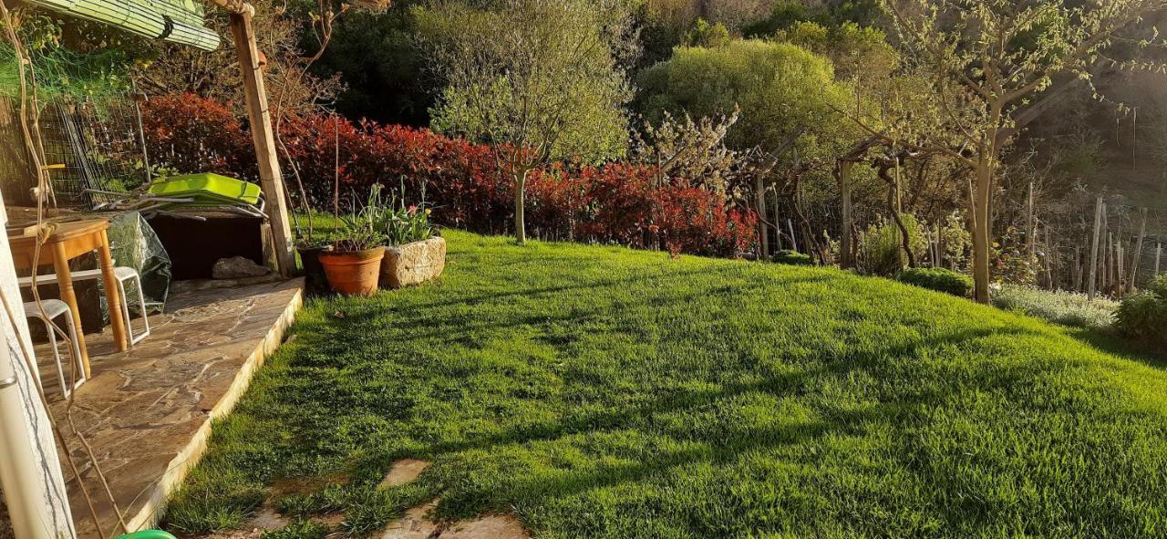 Casa Da Vina - Ribeira Sacra Villa Nogueira De Ramuin Dış mekan fotoğraf