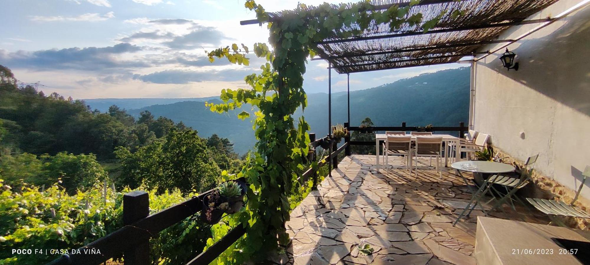 Casa Da Vina - Ribeira Sacra Villa Nogueira De Ramuin Dış mekan fotoğraf