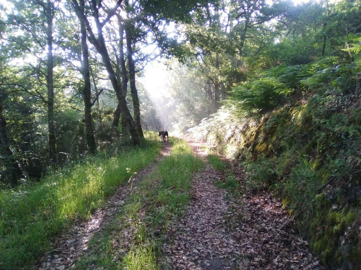 Casa Da Vina - Ribeira Sacra Villa Nogueira De Ramuin Dış mekan fotoğraf
