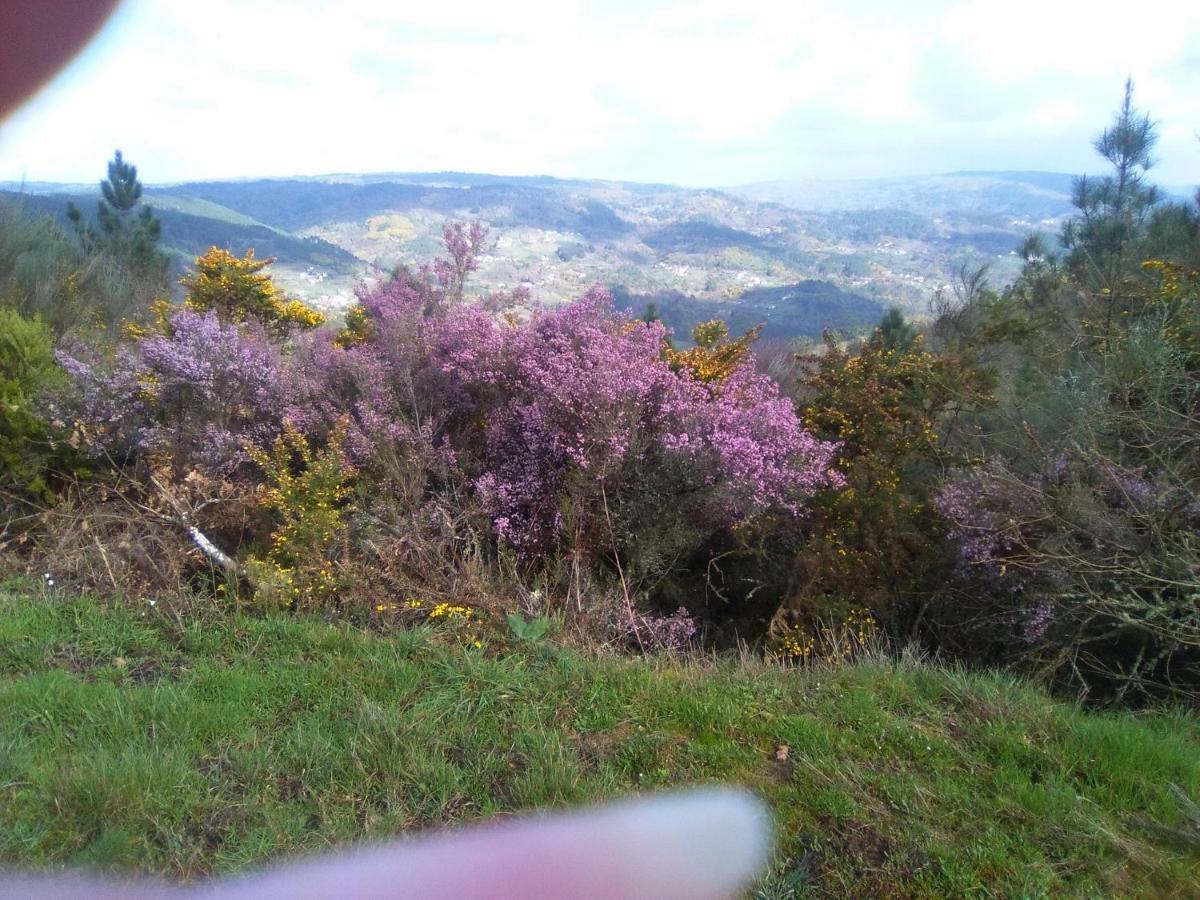Casa Da Vina - Ribeira Sacra Villa Nogueira De Ramuin Dış mekan fotoğraf
