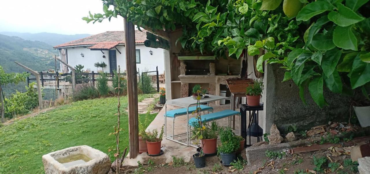 Casa Da Vina - Ribeira Sacra Villa Nogueira De Ramuin Dış mekan fotoğraf